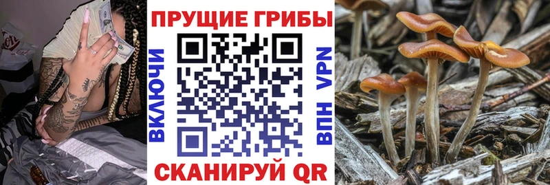 дарк нет наркотические препараты  Домодедово  Галлюциногенные грибы Cubensis  купить  